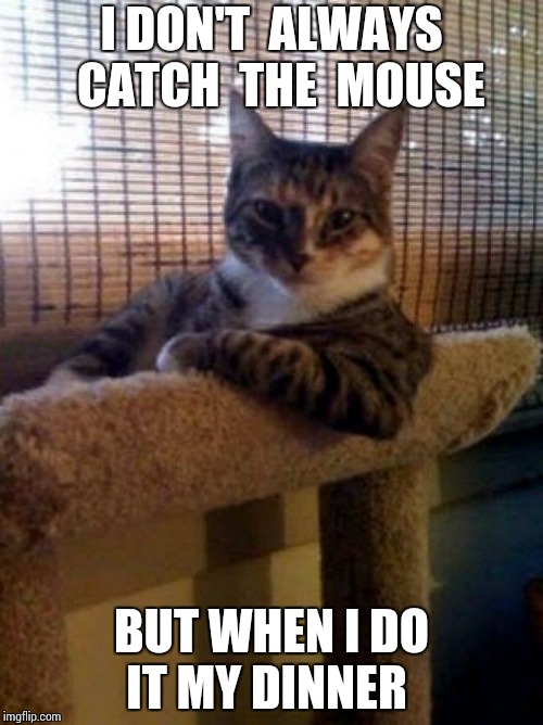 The Most Interesting Cat In The World Meme | I DON'T  ALWAYS  CATCH  THE  MOUSE; BUT WHEN I DO IT MY DINNER | image tagged in memes,the most interesting cat in the world | made w/ Imgflip meme maker