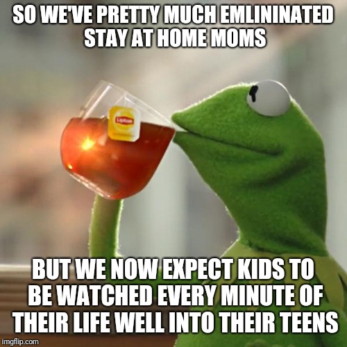 When I wad nine I could go to the park by myself without CPS being called | SO WE'VE PRETTY MUCH EMLININATED STAY AT HOME MOMS; BUT WE NOW EXPECT KIDS TO BE WATCHED EVERY MINUTE OF THEIR LIFE WELL INTO THEIR TEENS | image tagged in memes,but thats none of my business,kermit the frog | made w/ Imgflip meme maker