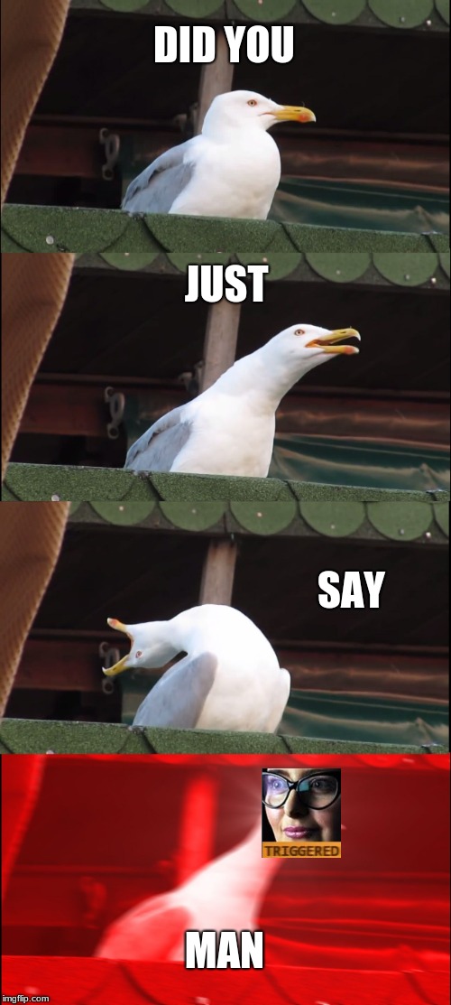 Inhaling Seagull Meme | DID YOU; JUST; SAY; MAN | image tagged in memes,inhaling seagull | made w/ Imgflip meme maker
