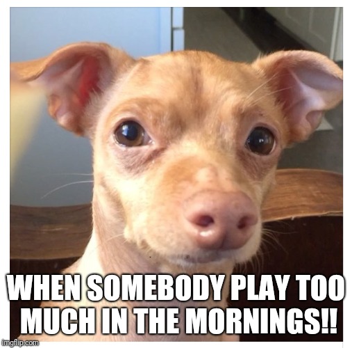 WHEN SOMEBODY PLAY TOO MUCH IN THE MORNINGS!! | image tagged in funny memes | made w/ Imgflip meme maker