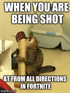 So true | WHEN YOU ARE BEING SHOT; AT FROM ALL DIRECTIONS IN FORTNITE | image tagged in fortnite meme,funny,cat | made w/ Imgflip meme maker