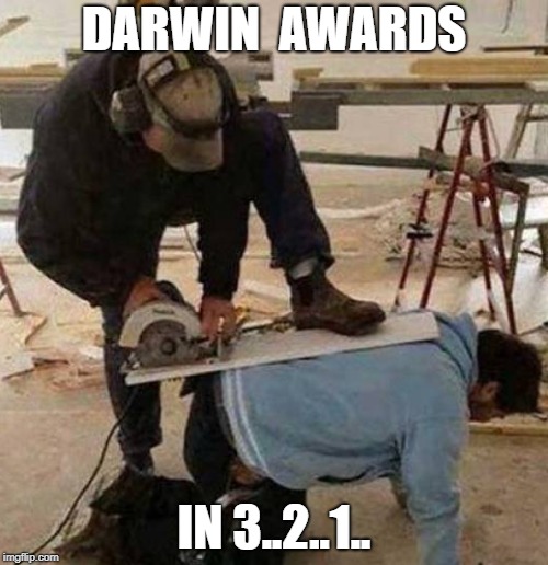 how stupid can you be? | DARWIN  AWARDS; IN 3..2..1.. | image tagged in darwin award,memes | made w/ Imgflip meme maker