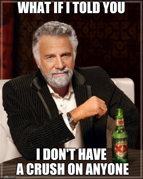 The Most Interesting Man In The World Meme | WHAT IF I TOLD YOU I DON'T HAVE A CRUSH ON ANYONE | image tagged in memes,the most interesting man in the world | made w/ Imgflip meme maker