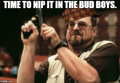 Am I The Only One Around Here | TIME TO NIP IT IN THE BUD BOYS. | image tagged in memes,am i the only one around here,scumbag | made w/ Imgflip meme maker