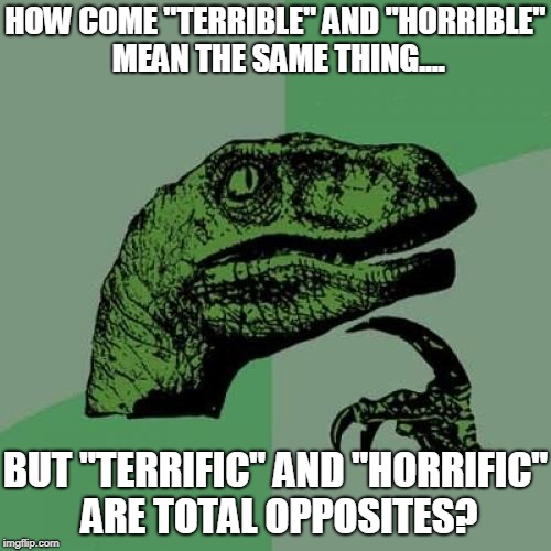 Even to me, the English language is a confusing thing | HOW COME "TERRIBLE" AND "HORRIBLE" MEAN THE SAME THING.... BUT "TERRIFIC" AND "HORRIFIC" ARE TOTAL OPPOSITES? | image tagged in memes,philosoraptor | made w/ Imgflip meme maker
