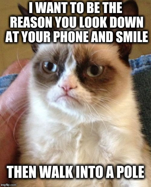 Grumpy Cat Meme | I WANT TO BE THE REASON YOU LOOK DOWN AT YOUR PHONE AND SMILE; THEN WALK INTO A POLE | image tagged in memes,grumpy cat | made w/ Imgflip meme maker