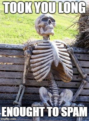 Waiting Skeleton Meme | TOOK YOU LONG ENOUGHT TO SPAM | image tagged in memes,waiting skeleton | made w/ Imgflip meme maker