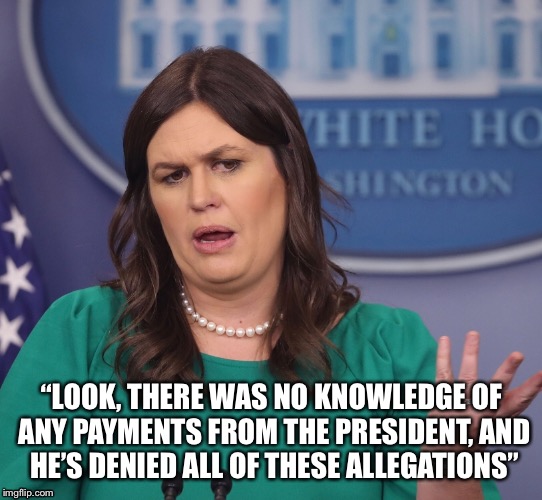 “LOOK, THERE WAS NO KNOWLEDGE OF ANY PAYMENTS FROM THE PRESIDENT, AND HE’S DENIED ALL OF THESE ALLEGATIONS” | image tagged in sarah huckabee sanders | made w/ Imgflip meme maker