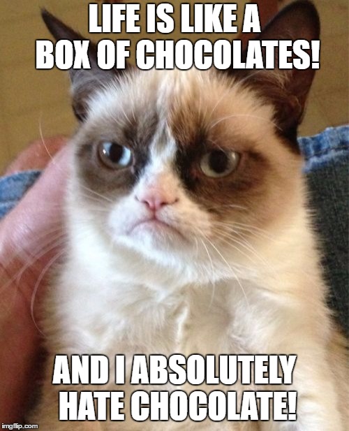 Grumpy cat just got a lot more grumpy! (or happy I don't know!) | LIFE IS LIKE A BOX OF CHOCOLATES! AND I ABSOLUTELY HATE CHOCOLATE! | image tagged in memes,grumpy cat | made w/ Imgflip meme maker