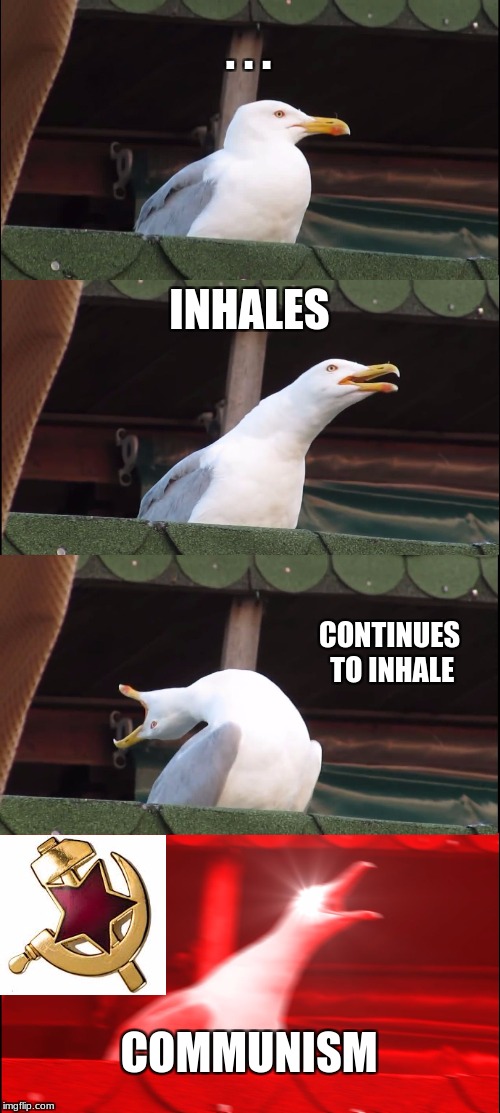 Inhaling Seagull | . . . INHALES; CONTINUES TO INHALE; COMMUNISM | image tagged in memes,inhaling seagull | made w/ Imgflip meme maker