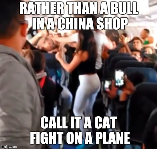 RATHER THAN A BULL IN A CHINA SHOP CALL IT A CAT FIGHT ON A PLANE | made w/ Imgflip meme maker