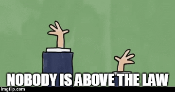 Not above the law | NOBODY IS ABOVE THE LAW | image tagged in gifs,law,trump,above,bye | made w/ Imgflip video-to-gif maker