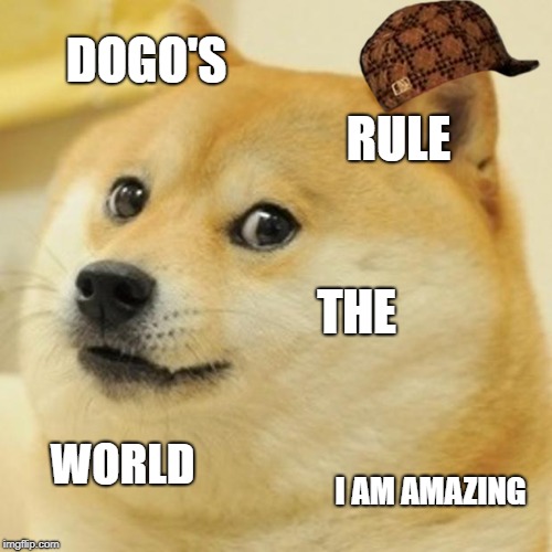 Doge Meme | DOGO'S; RULE; THE; WORLD; I AM AMAZING | image tagged in memes,doge,scumbag | made w/ Imgflip meme maker