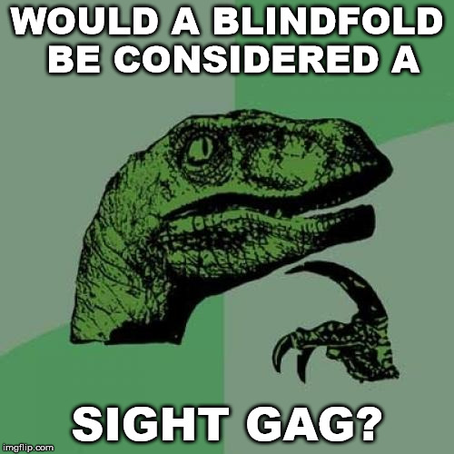 Asking the important questions here, people! | WOULD A BLINDFOLD BE CONSIDERED A; SIGHT GAG? | image tagged in memes,philosoraptor,blind fold,pun | made w/ Imgflip meme maker