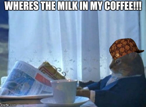 I Should Buy A Boat Cat Meme | WHERES THE MILK IN MY COFFEE!!! | image tagged in memes,i should buy a boat cat,scumbag | made w/ Imgflip meme maker