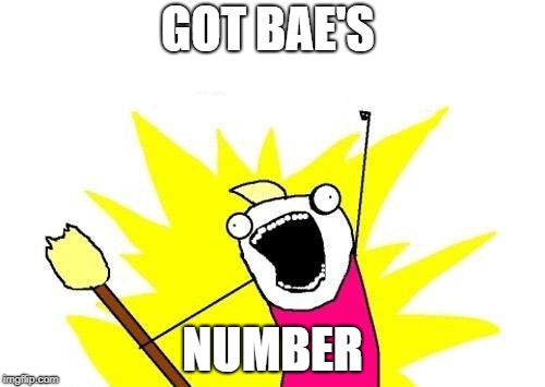 X All The Y Meme | GOT BAE'S; NUMBER | image tagged in memes,x all the y | made w/ Imgflip meme maker