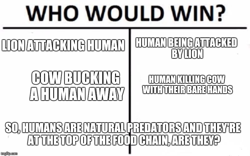 Who Would Win? Meme | LION ATTACKING HUMAN; HUMAN BEING ATTACKED BY LION; COW BUCKING A HUMAN AWAY; HUMAN KILLING COW WITH THEIR BARE HANDS; SO, HUMANS ARE NATURAL PREDATORS AND THEY'RE AT THE TOP OF THE FOOD CHAIN, ARE THEY? | image tagged in memes,who would win | made w/ Imgflip meme maker