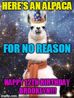 Happy Birthday Alpaca | HERE'S AN ALPACA; FOR NO REASON; HAPPY 12TH BIRTHDAY 
BROOKLYN!!! | image tagged in happy birthday alpaca | made w/ Imgflip meme maker