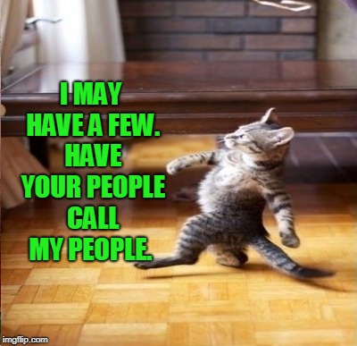 I MAY HAVE A FEW. HAVE YOUR PEOPLE CALL MY PEOPLE. | made w/ Imgflip meme maker