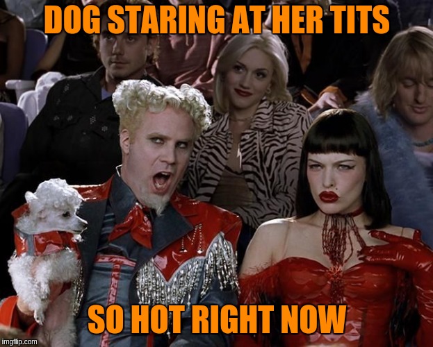So Hot Right Now | DOG STARING AT HER TITS; SO HOT RIGHT NOW | image tagged in so hot right now | made w/ Imgflip meme maker