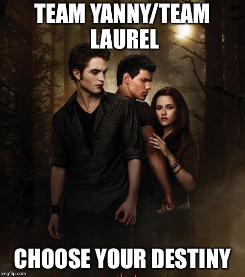 Twilight | TEAM YANNY/TEAM LAUREL; CHOOSE YOUR DESTINY | image tagged in twilight | made w/ Imgflip meme maker