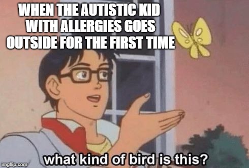 Asthma and Autism | WHEN THE AUTISTIC KID WITH ALLERGIES GOES OUTSIDE FOR THE FIRST TIME | image tagged in what kind of bird is this,autistic and allergies | made w/ Imgflip meme maker