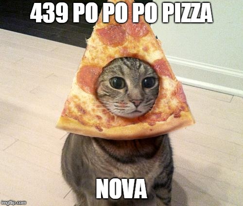 pizza cat | 439 PO PO PO PIZZA; NOVA | image tagged in pizza cat | made w/ Imgflip meme maker