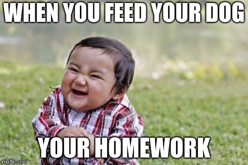 Evil Toddler Meme | WHEN YOU FEED YOUR DOG; YOUR HOMEWORK | image tagged in memes,evil toddler | made w/ Imgflip meme maker