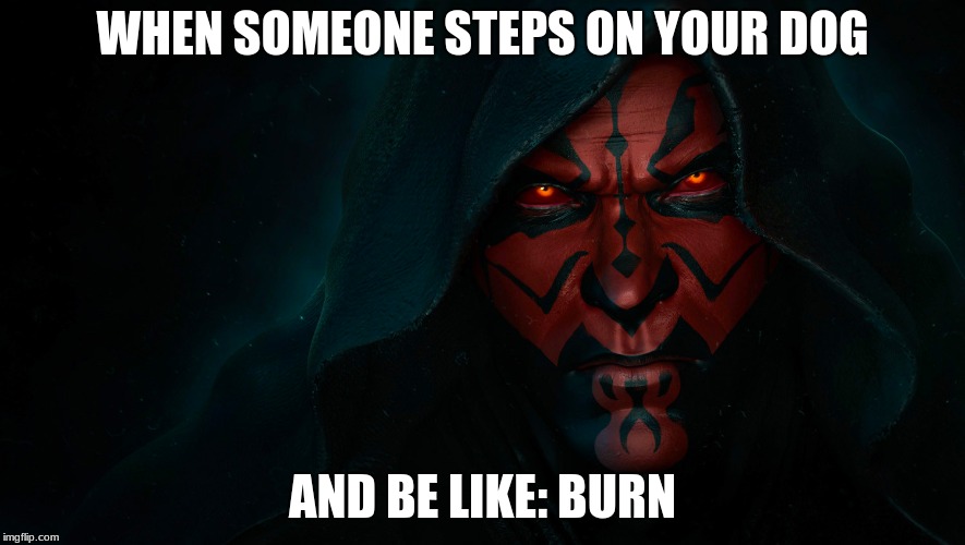 Mr.Fozzil | WHEN SOMEONE STEPS ON YOUR DOG; AND BE LIKE: BURN | image tagged in darth maul | made w/ Imgflip meme maker