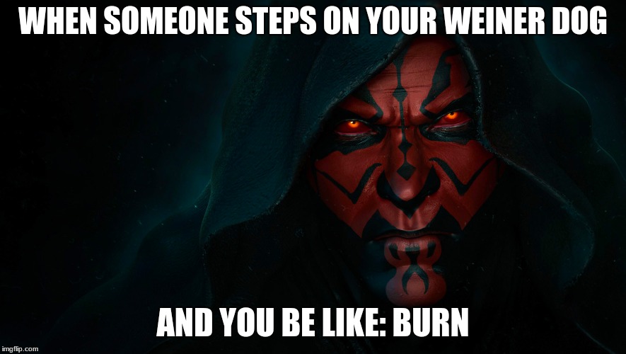 Mr.Fozzil | WHEN SOMEONE STEPS ON YOUR WEINER DOG; AND YOU BE LIKE: BURN | image tagged in darth maul | made w/ Imgflip meme maker