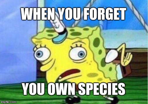 Mocking Spongebob Meme | WHEN YOU FORGET; YOU OWN SPECIES | image tagged in memes,mocking spongebob | made w/ Imgflip meme maker