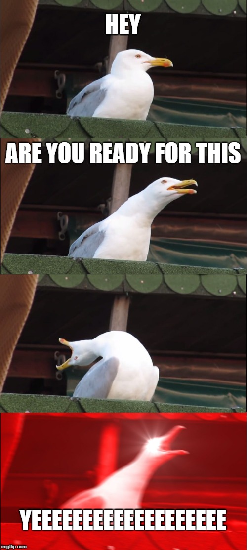 Inhaling Seagull Meme | HEY; ARE YOU READY FOR THIS; YEEEEEEEEEEEEEEEEEEE | image tagged in memes,inhaling seagull | made w/ Imgflip meme maker
