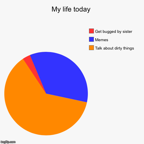 My life today | Talk about dirty things, Memes, Get bugged by sister | image tagged in funny,pie charts | made w/ Imgflip chart maker