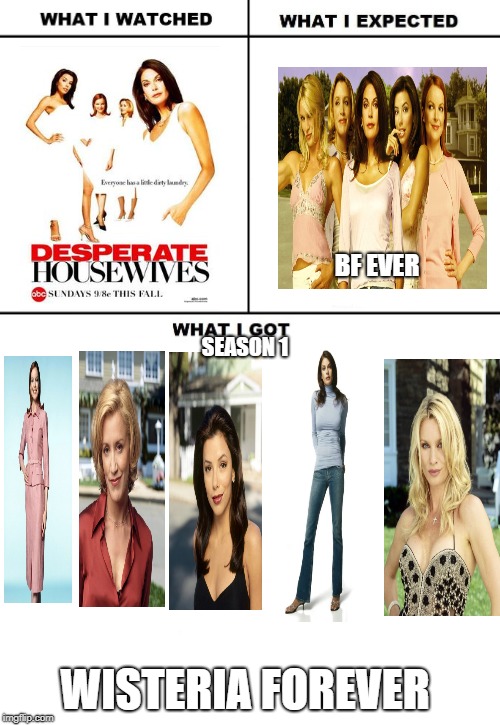 desperate housewives  | BF EVER; SEASON 1; WISTERIA FOREVER | image tagged in what i watched/ what i expected/ what i got | made w/ Imgflip meme maker