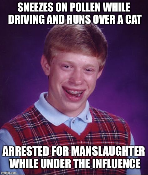 Bad Luck Brian Meme | SNEEZES ON POLLEN WHILE DRIVING AND RUNS OVER A CAT; ARRESTED FOR MANSLAUGHTER WHILE UNDER THE INFLUENCE | image tagged in memes,bad luck brian | made w/ Imgflip meme maker