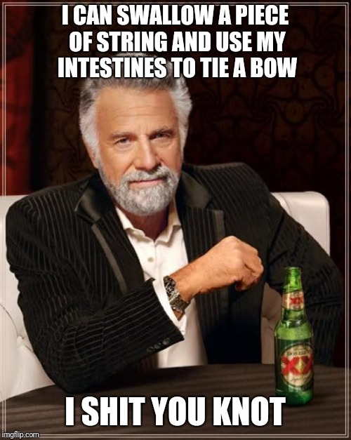 The Old Jokes Are The Best | I CAN SWALLOW A PIECE OF STRING AND USE MY INTESTINES TO TIE A BOW; I SHIT YOU KNOT | image tagged in memes,the most interesting man in the world | made w/ Imgflip meme maker