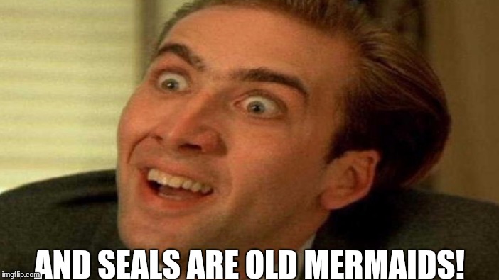 AND SEALS ARE OLD MERMAIDS! | made w/ Imgflip meme maker