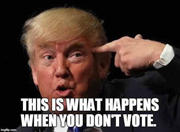 This what happens when you don't vote | THIS IS WHAT HAPPENS WHEN YOU DON'T VOTE. | image tagged in this what happens when you don't vote,trump,election,vote | made w/ Imgflip meme maker
