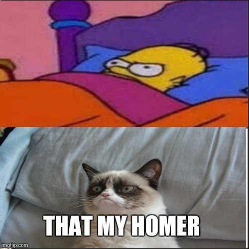 THAT MY HOMER | image tagged in grumpy cat,memes,homer simpson | made w/ Imgflip meme maker