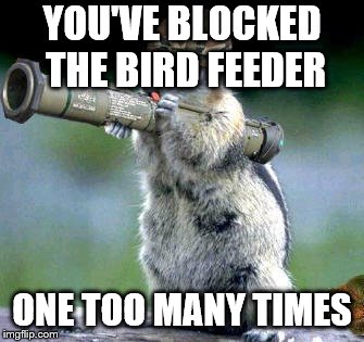 Bazooka Squirrel | YOU'VE BLOCKED THE BIRD FEEDER; ONE TOO MANY TIMES | image tagged in memes,bazooka squirrel | made w/ Imgflip meme maker