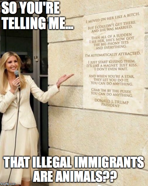 Trump comment on MS13 and other "bad" people | SO YOU'RE TELLING ME... THAT ILLEGAL IMMIGRANTS ARE ANIMALS?? | image tagged in donald trump,sexual harassment | made w/ Imgflip meme maker