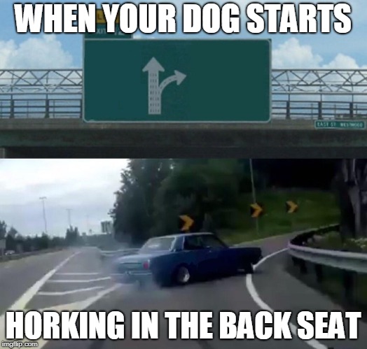 Left Exit 12 Off Ramp | WHEN YOUR DOG STARTS; HORKING IN THE BACK SEAT | image tagged in memes,left exit 12 off ramp | made w/ Imgflip meme maker