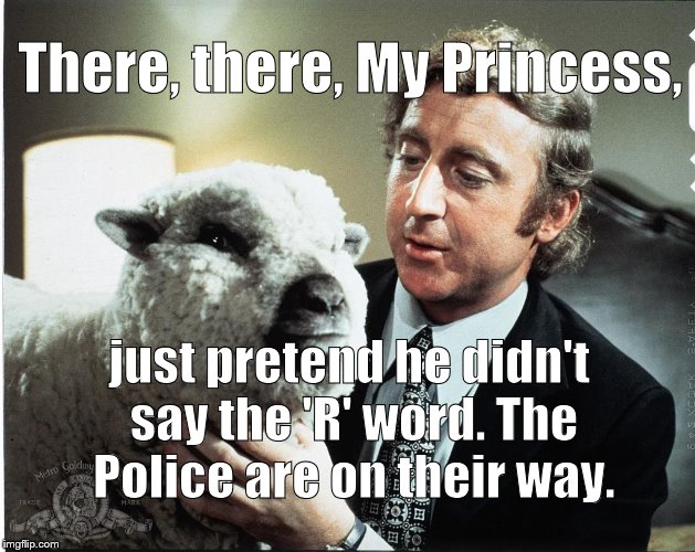 Baaa | There, there, My Princess, just pretend he didn't say the 'R' word. The Police are on their way. | image tagged in baaa | made w/ Imgflip meme maker