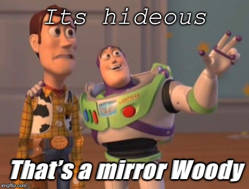 X, X Everywhere Meme | Its hideous; That’s a mirror Woody | image tagged in memes,x x everywhere | made w/ Imgflip meme maker