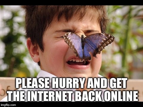 PLEASE HURRY AND GET THE INTERNET BACK ONLINE | made w/ Imgflip meme maker