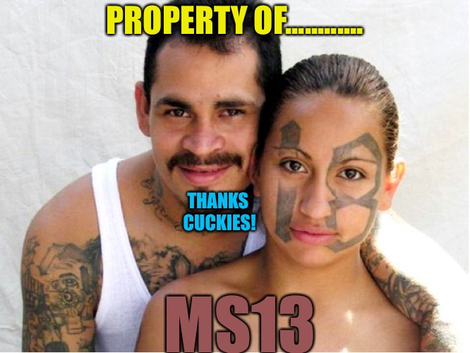 Property Of MS13 | PROPERTY OF............ THANKS CUCKIES! MS13 | image tagged in cucks,gang,criminals,obama,the wall,red pill | made w/ Imgflip meme maker