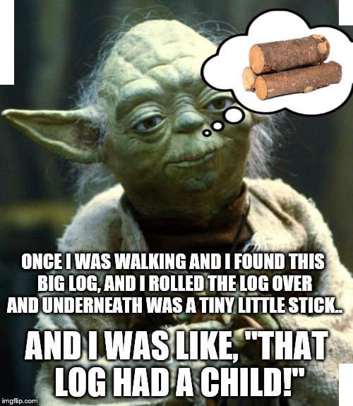 Star Wars Yoda Meme | ONCE I WAS WALKING AND I FOUND THIS BIG LOG, AND I ROLLED THE LOG OVER AND UNDERNEATH WAS A TINY LITTLE STICK.. AND I WAS LIKE, "THAT LOG HAD A CHILD!" | image tagged in memes,star wars yoda | made w/ Imgflip meme maker