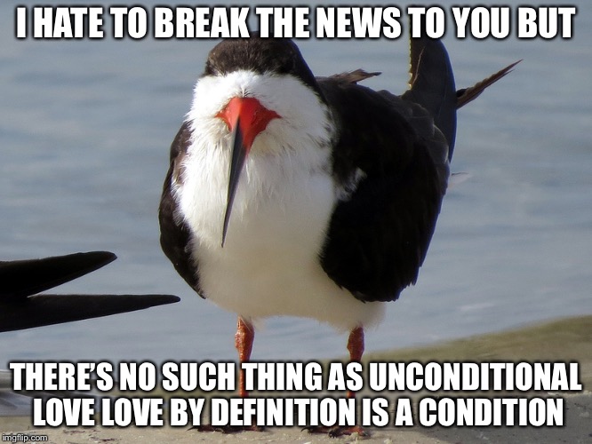 Even Less Popular Opinion Bird | I HATE TO BREAK THE NEWS TO YOU BUT THERE’S NO SUCH THING AS UNCONDITIONAL LOVE LOVE BY DEFINITION IS A CONDITION | image tagged in even less popular opinion bird | made w/ Imgflip meme maker