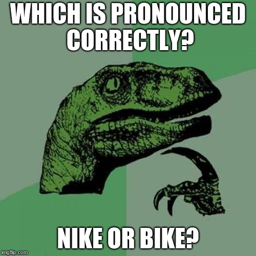 Philosoraptor Meme | WHICH IS PRONOUNCED CORRECTLY? NIKE OR BIKE? | image tagged in memes,philosoraptor | made w/ Imgflip meme maker