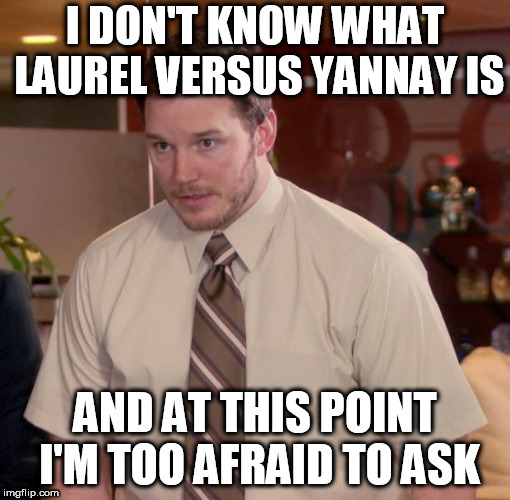 Chris Pratt meme | I DON'T KNOW WHAT LAUREL VERSUS YANNAY IS; AND AT THIS POINT I'M TOO AFRAID TO ASK | image tagged in chris pratt meme | made w/ Imgflip meme maker